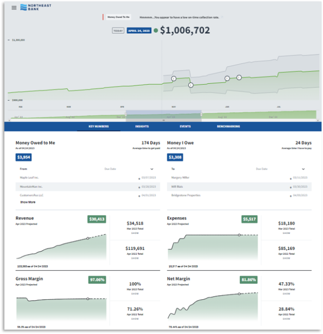 Business INsights Overview